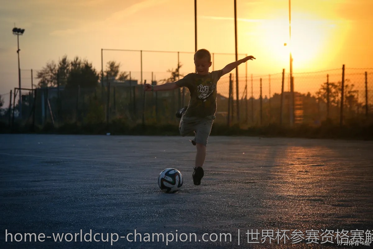 世界杯参赛资格赛解析：哪些球队已经锁定名额？