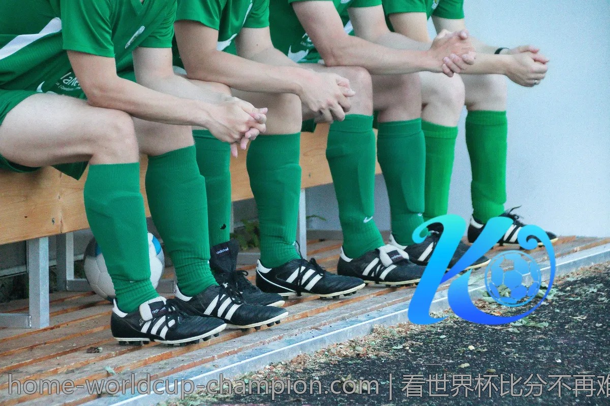 世界杯竞猜平台首选：良心推荐与评测
